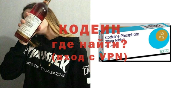 spice Инта