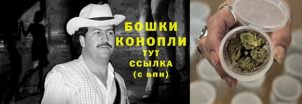 твердый Инсар