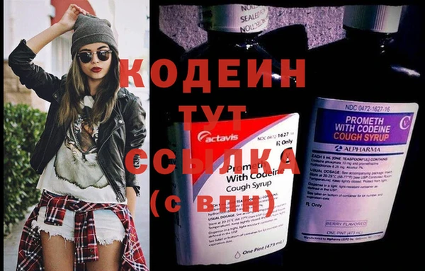 мдпв Каменногорск