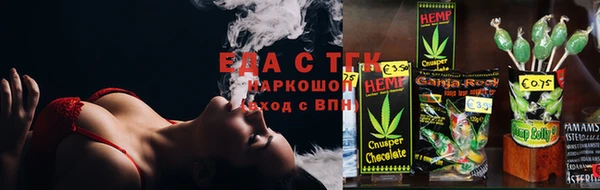 мдпв Каменногорск