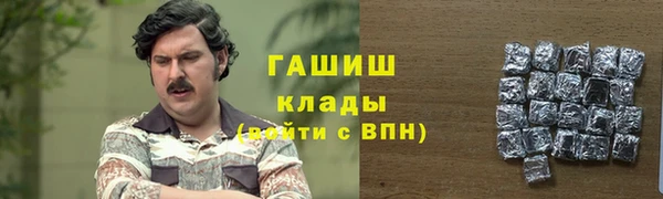 мдпв Каменногорск