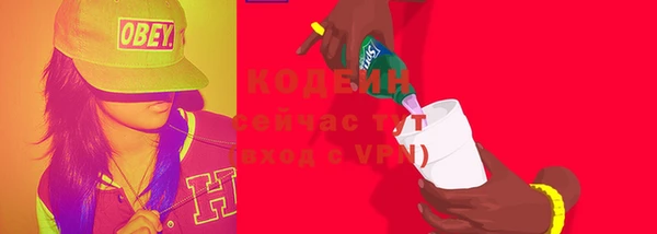 мдпв Каменногорск