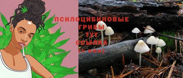твердый Инсар