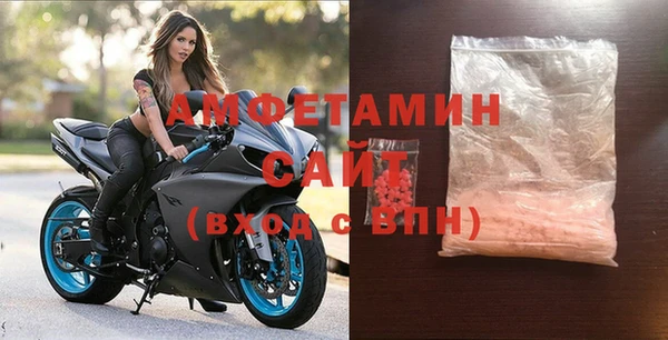 твердый Инсар