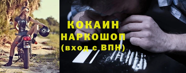 твердый Инсар