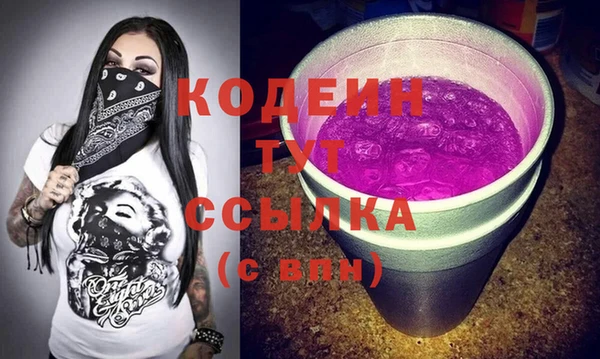 мдпв Каменногорск