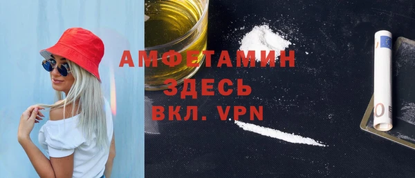 твердый Инсар
