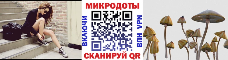 Купить  Бугуруслан  Галлюциногенные грибы MAGIC MUSHROOMS 